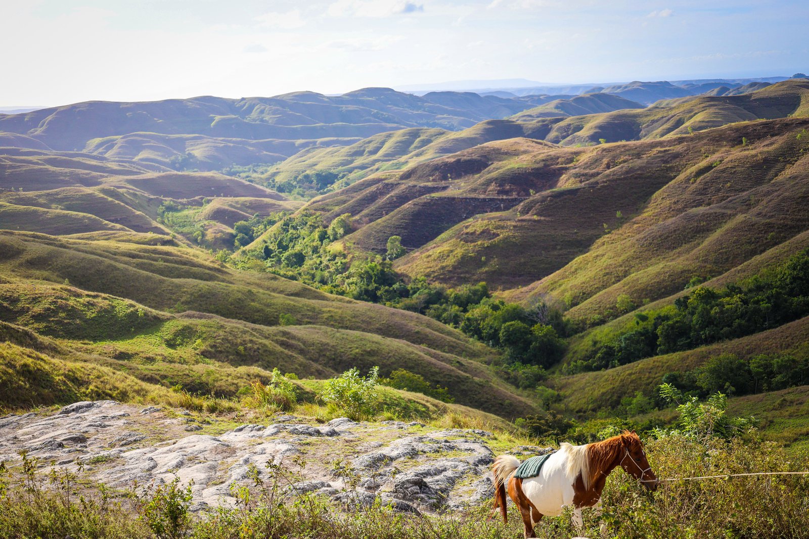 Sumba coastline